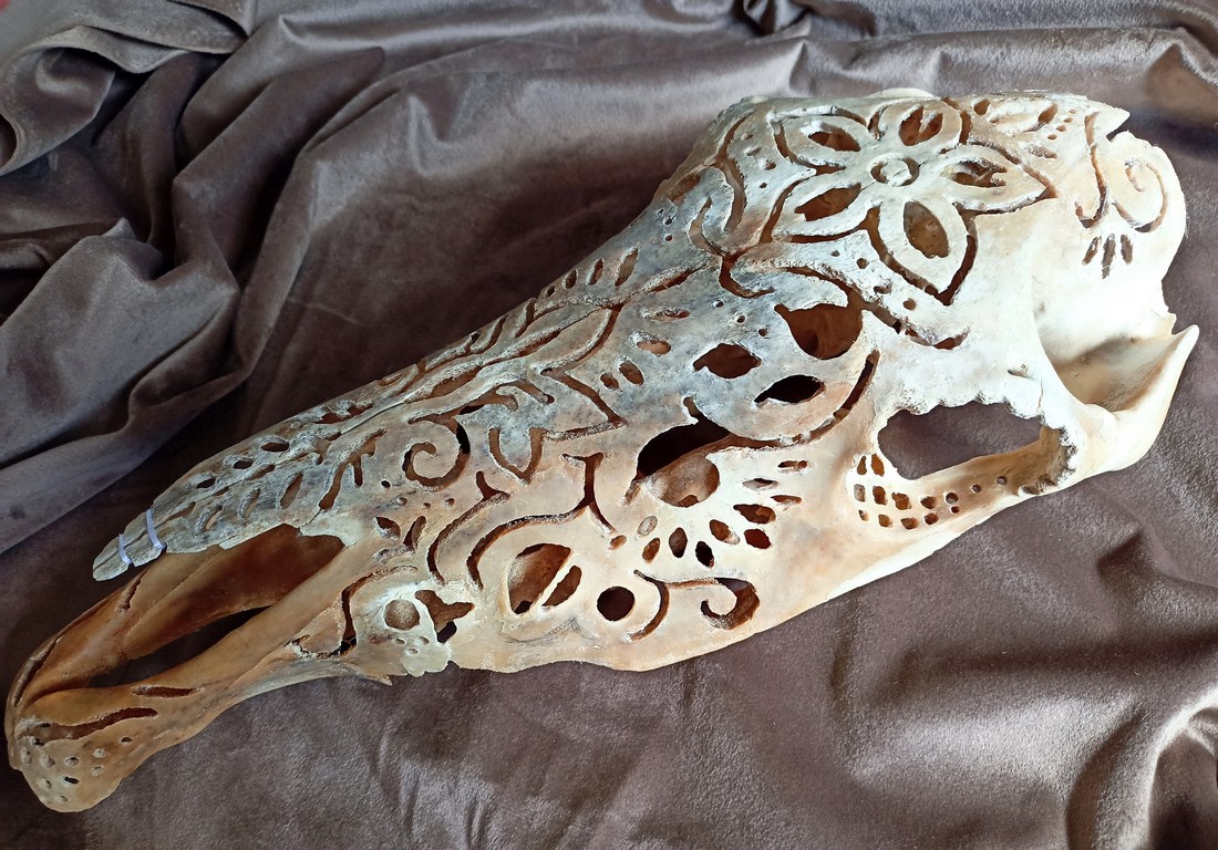 Порно секс мультфильмдерін көру